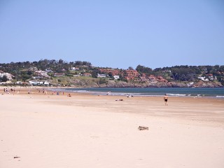 v_IMG_4240