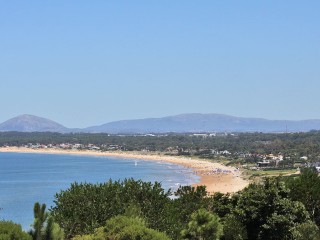 z_IMG_6287