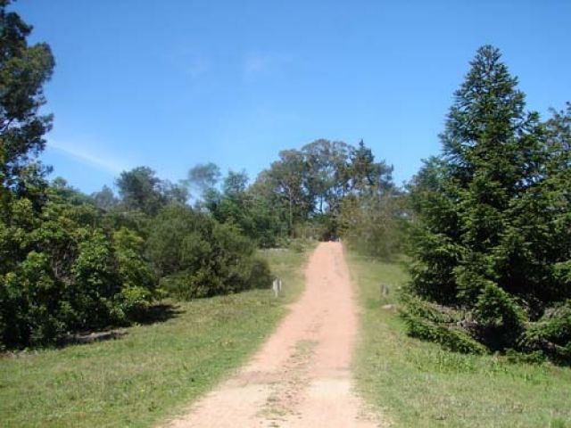 Bosque Lussich